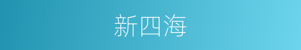 新四海的同义词