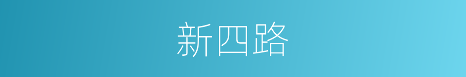 新四路的同义词