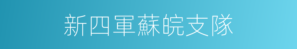 新四軍蘇皖支隊的意思