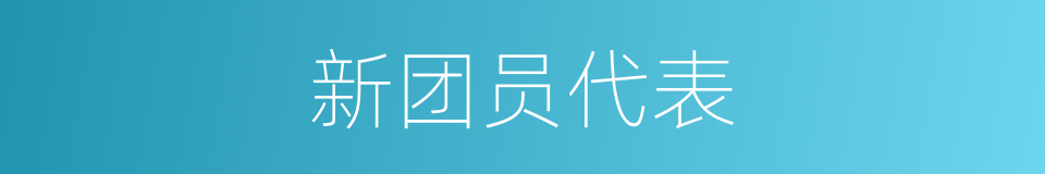 新团员代表的同义词