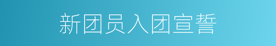 新团员入团宣誓的同义词