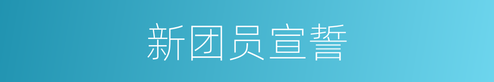 新团员宣誓的同义词