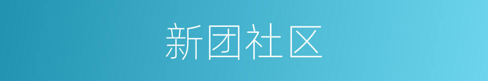 新团社区的同义词