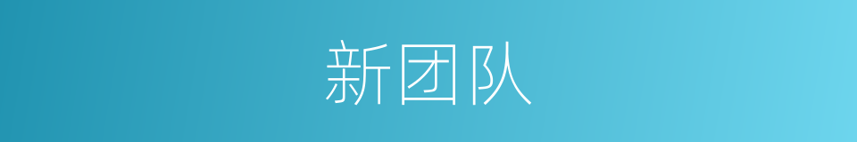 新团队的同义词