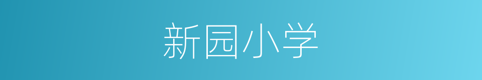 新园小学的同义词