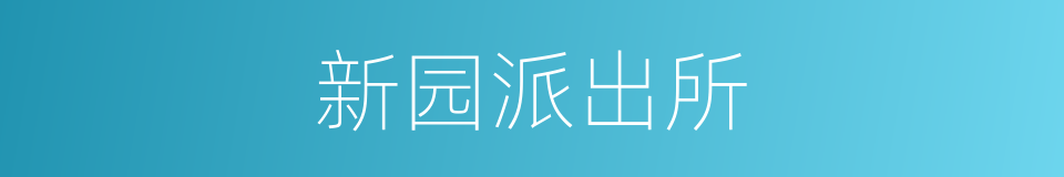 新园派出所的同义词