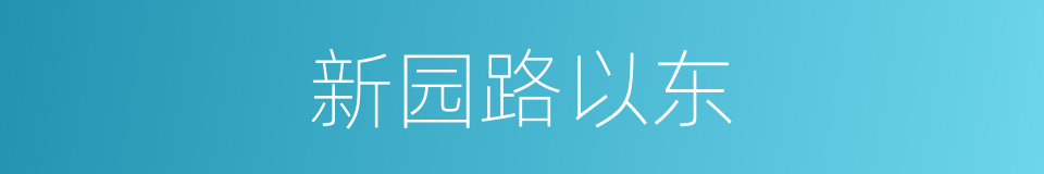 新园路以东的同义词