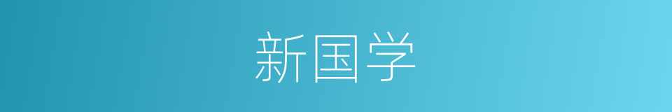 新国学的同义词