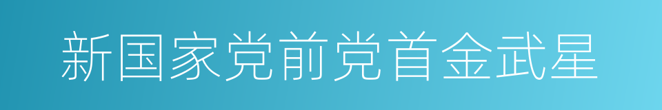 新国家党前党首金武星的同义词