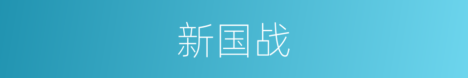 新国战的同义词