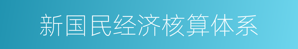 新国民经济核算体系的同义词