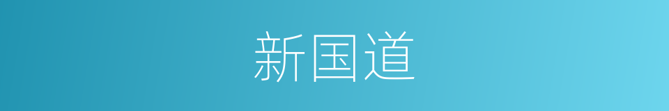 新国道的同义词