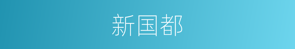 新国都的同义词