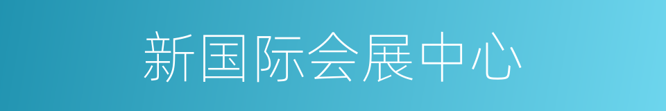 新国际会展中心的同义词