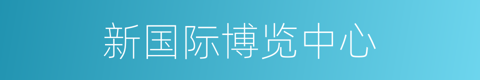 新国际博览中心的同义词