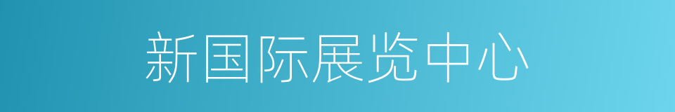 新国际展览中心的同义词