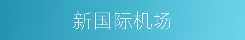 新国际机场的同义词