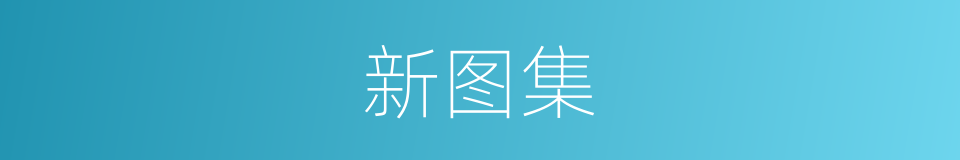 新图集的同义词