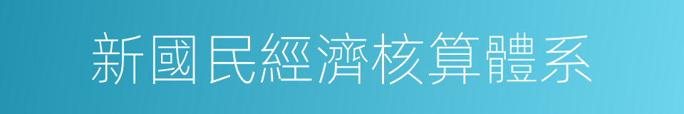 新國民經濟核算體系的同義詞