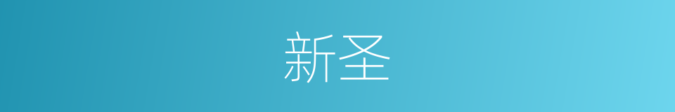 新圣的同义词