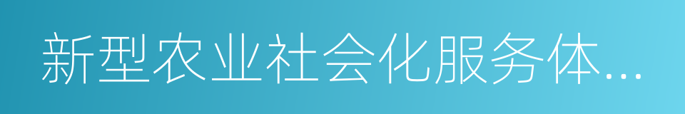 新型农业社会化服务体系建设的同义词