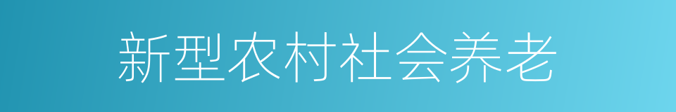 新型农村社会养老的同义词