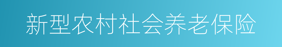 新型农村社会养老保险的同义词
