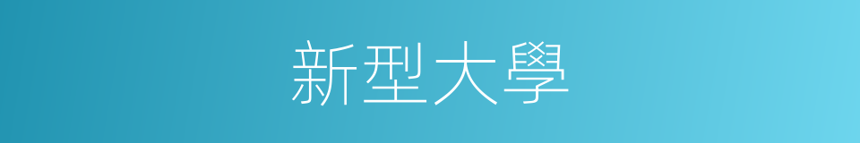 新型大學的同義詞