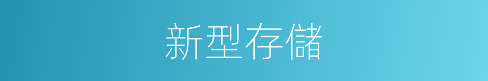 新型存儲的同義詞