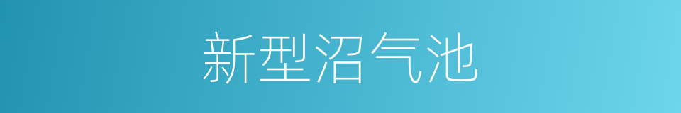 新型沼气池的同义词