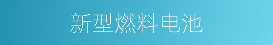 新型燃料电池的同义词