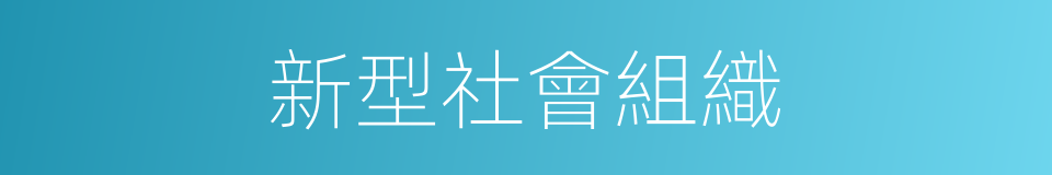 新型社會組織的同義詞