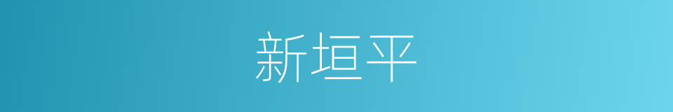 新垣平的同义词