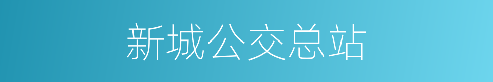新城公交总站的同义词