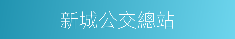 新城公交總站的同義詞