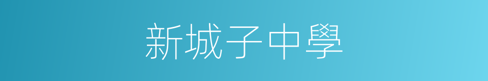 新城子中學的同義詞