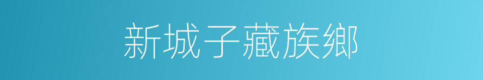 新城子藏族鄉的同義詞