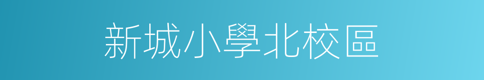 新城小學北校區的同義詞