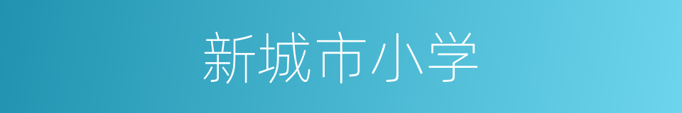 新城市小学的同义词