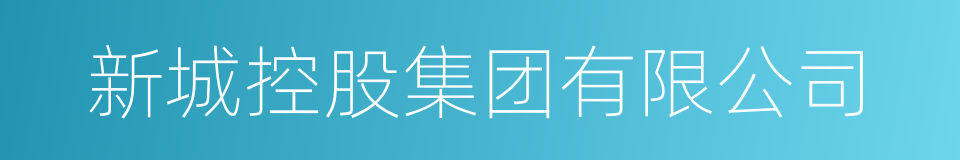 新城控股集团有限公司的同义词