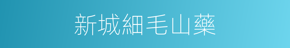 新城細毛山藥的同義詞