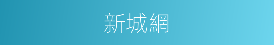 新城網的同義詞