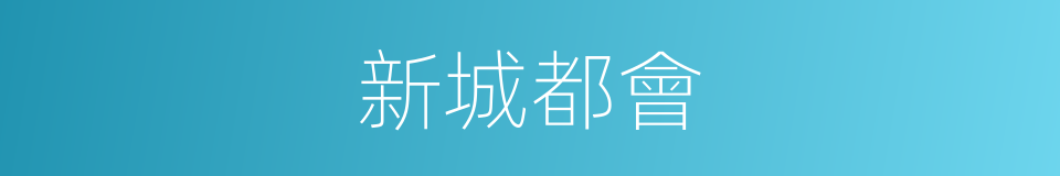 新城都會的同義詞