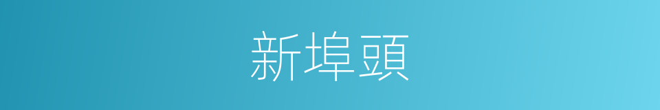 新埠頭的同義詞