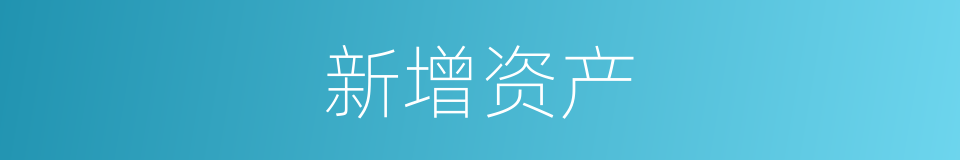 新增资产的同义词