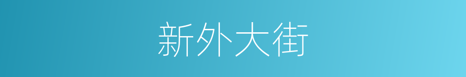 新外大街的同义词