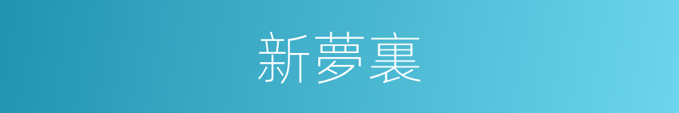 新夢裏的同義詞