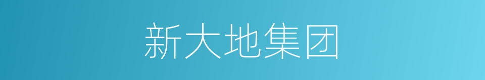 新大地集团的同义词