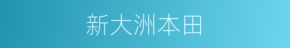 新大洲本田的同义词