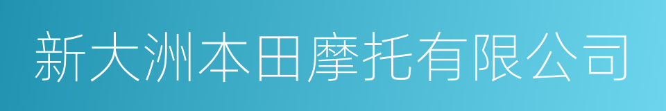 新大洲本田摩托有限公司的同义词